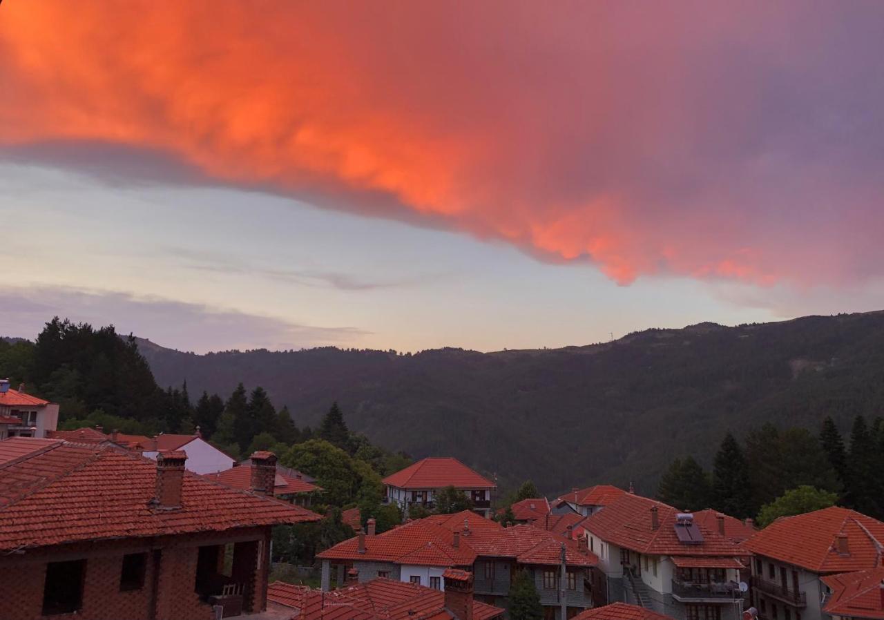 Apostolos Hotel Métsovo Eksteriør bilde