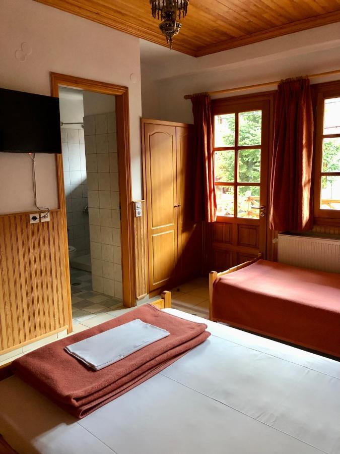 Apostolos Hotel Métsovo Eksteriør bilde