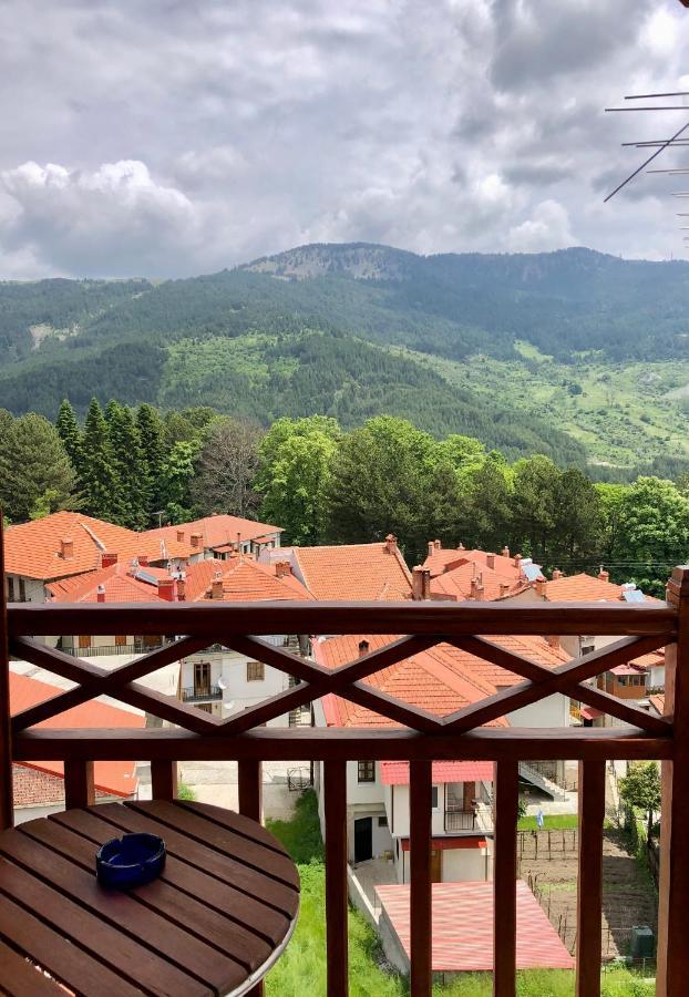 Apostolos Hotel Métsovo Eksteriør bilde