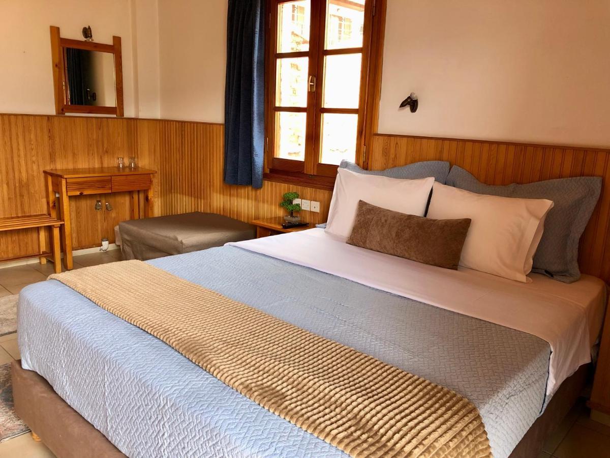 Apostolos Hotel Métsovo Eksteriør bilde
