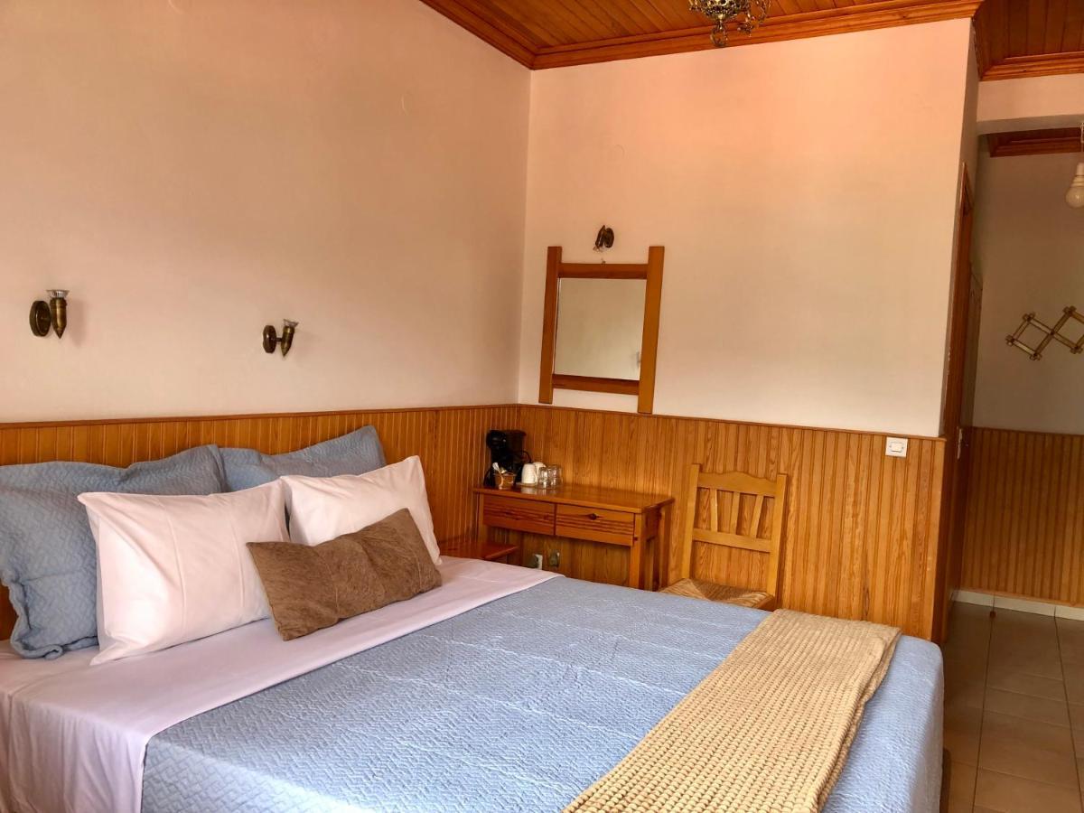 Apostolos Hotel Métsovo Eksteriør bilde