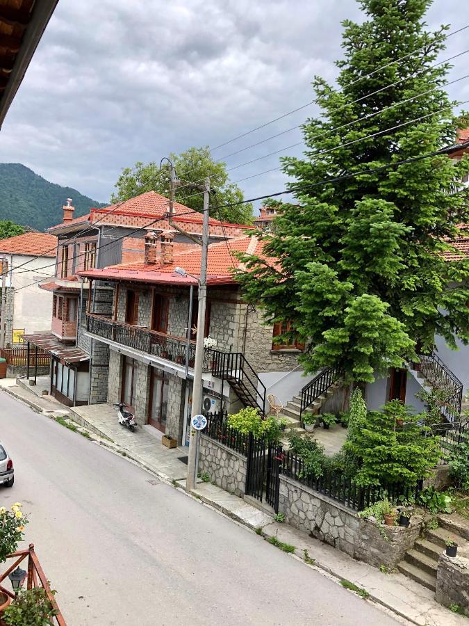 Apostolos Hotel Métsovo Eksteriør bilde