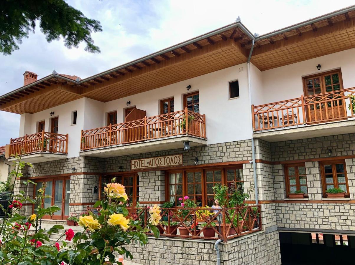 Apostolos Hotel Métsovo Eksteriør bilde