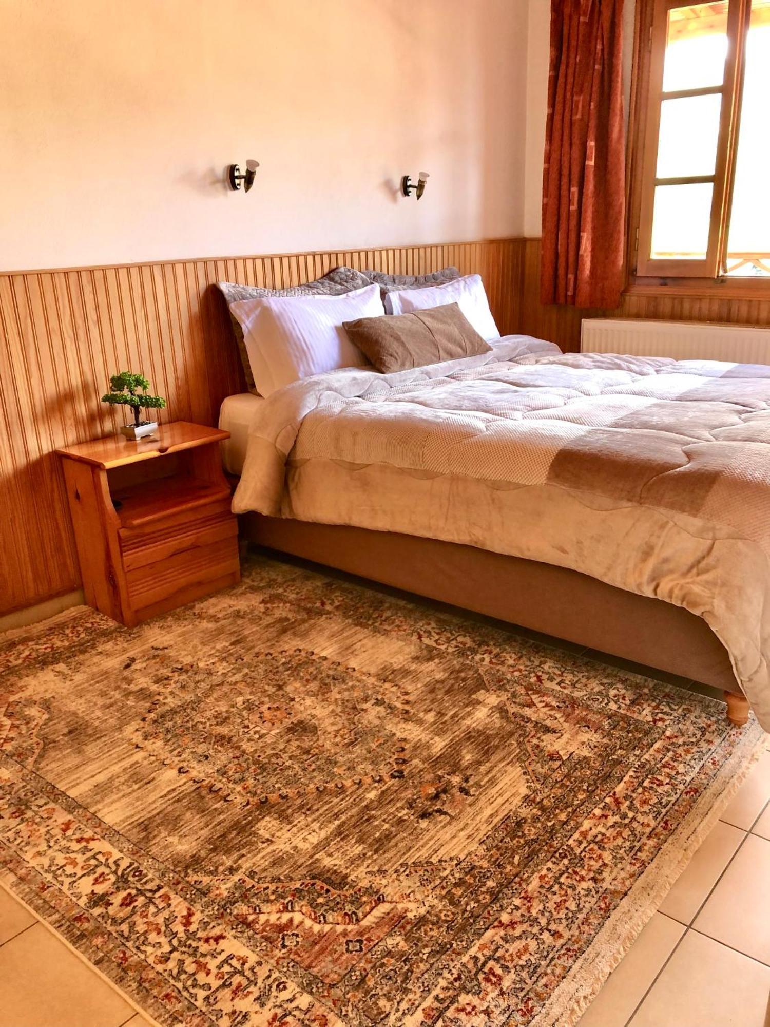 Apostolos Hotel Métsovo Eksteriør bilde